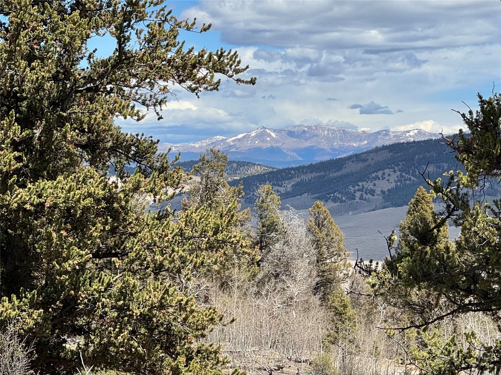 5013 Middle Fork Vista Fairplay CO 80440