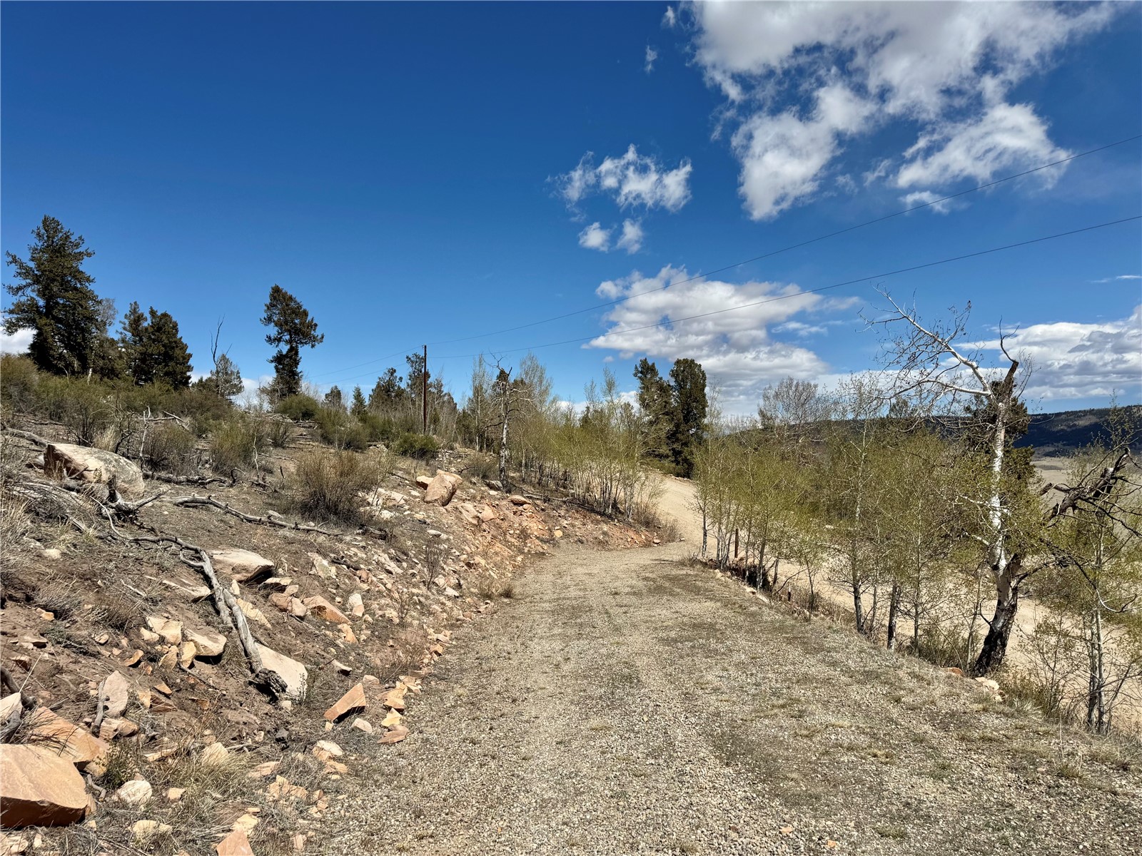 5013 Middle Fork Vista Fairplay CO 80440