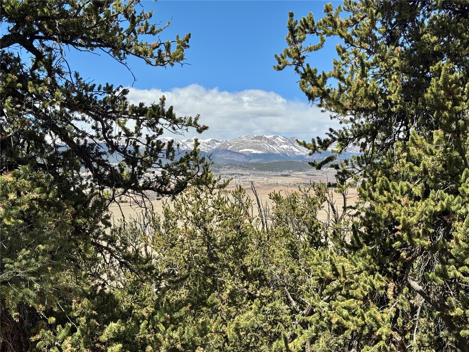 5013 Middle Fork Vista Fairplay CO 80440