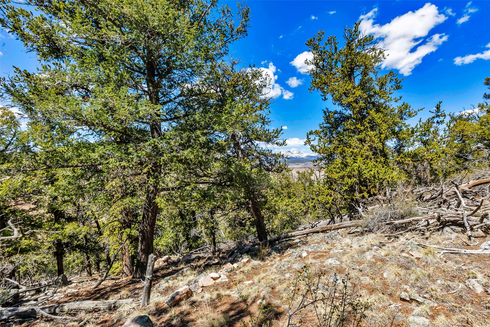 5013 Middle Fork Vista Fairplay CO 80440