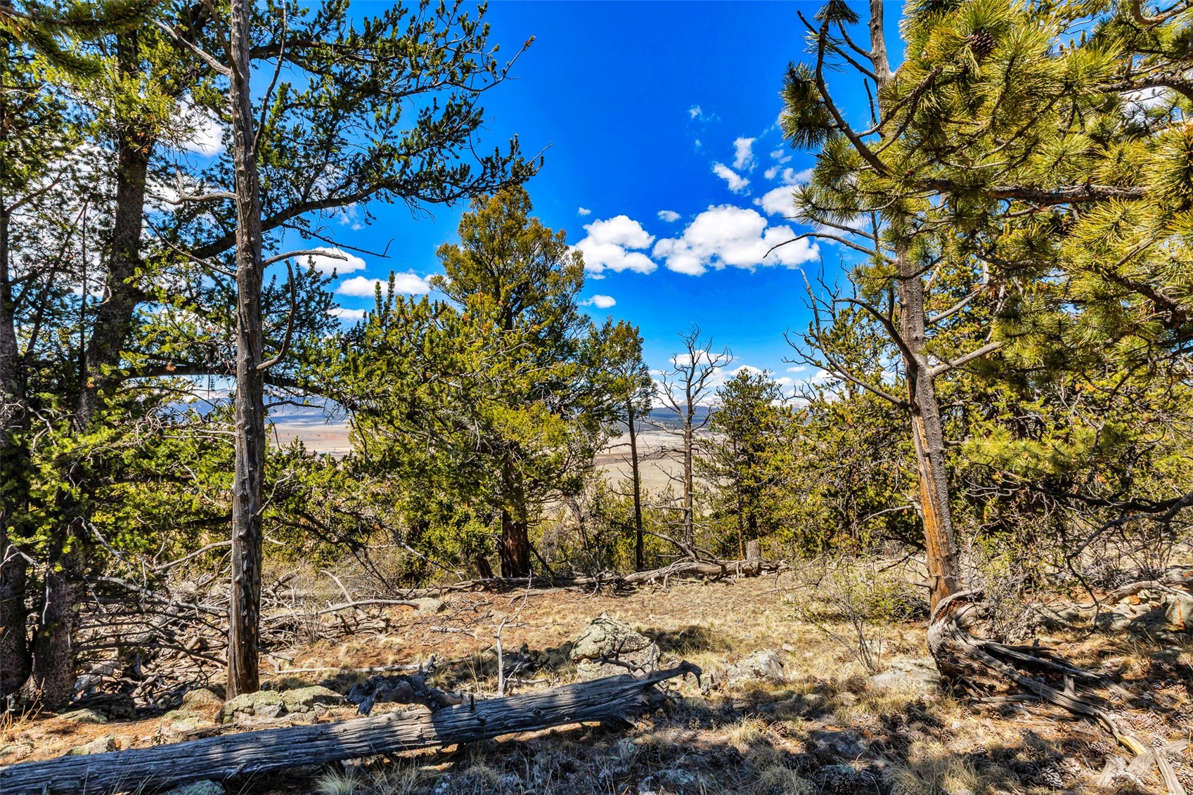 5013 Middle Fork Vista Fairplay CO 80440