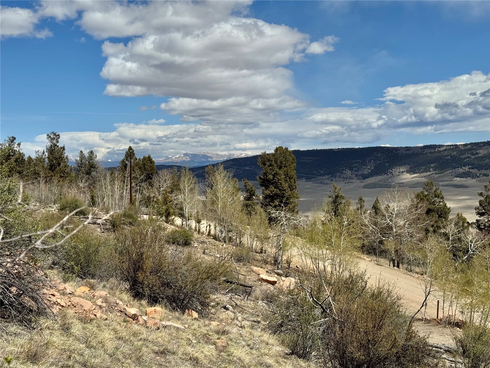 5013 Middle Fork Vista Fairplay CO 80440