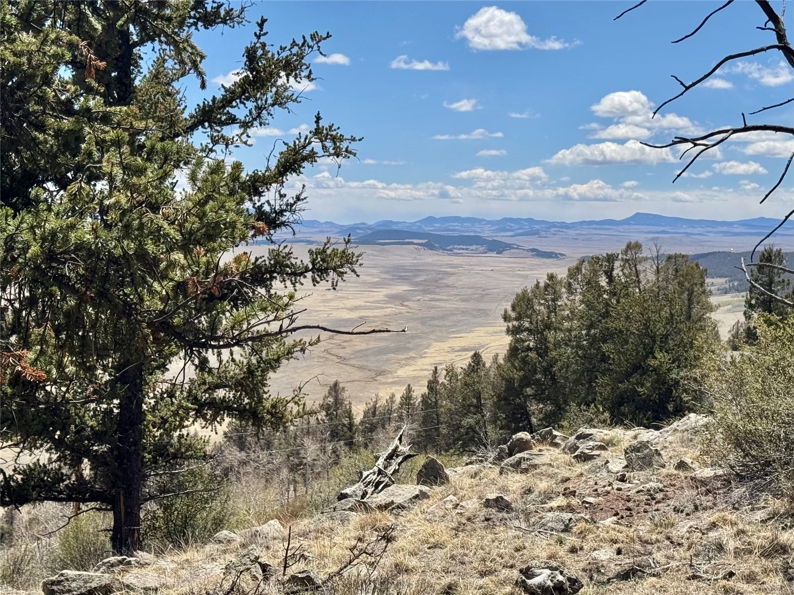 5013 Middle Fork Vista Fairplay CO 80440