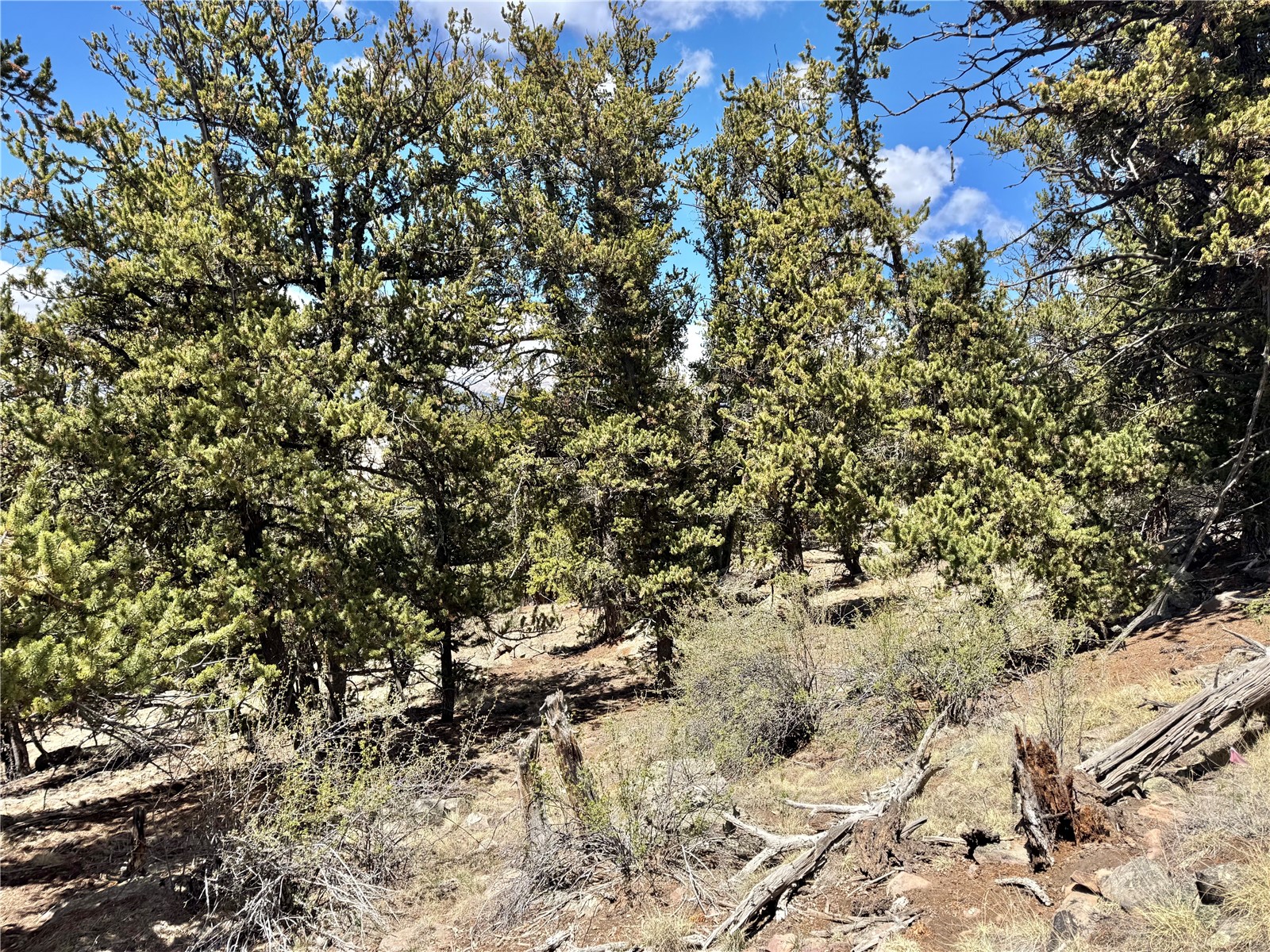 5013 Middle Fork Vista Fairplay CO 80440