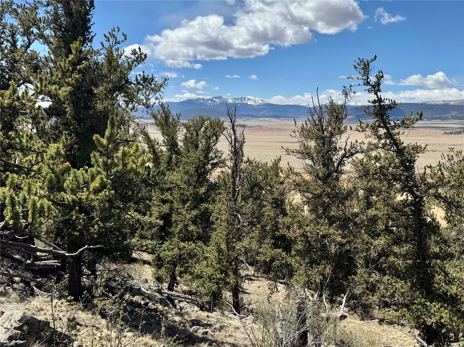 5013 Middle Fork Vista Fairplay CO 80440