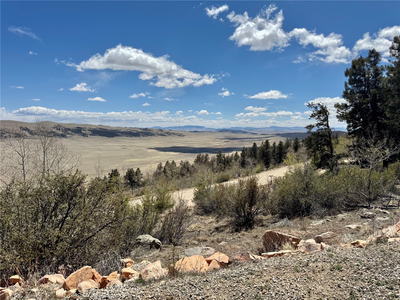 5013 Middle Fork Vista Fairplay CO 80440