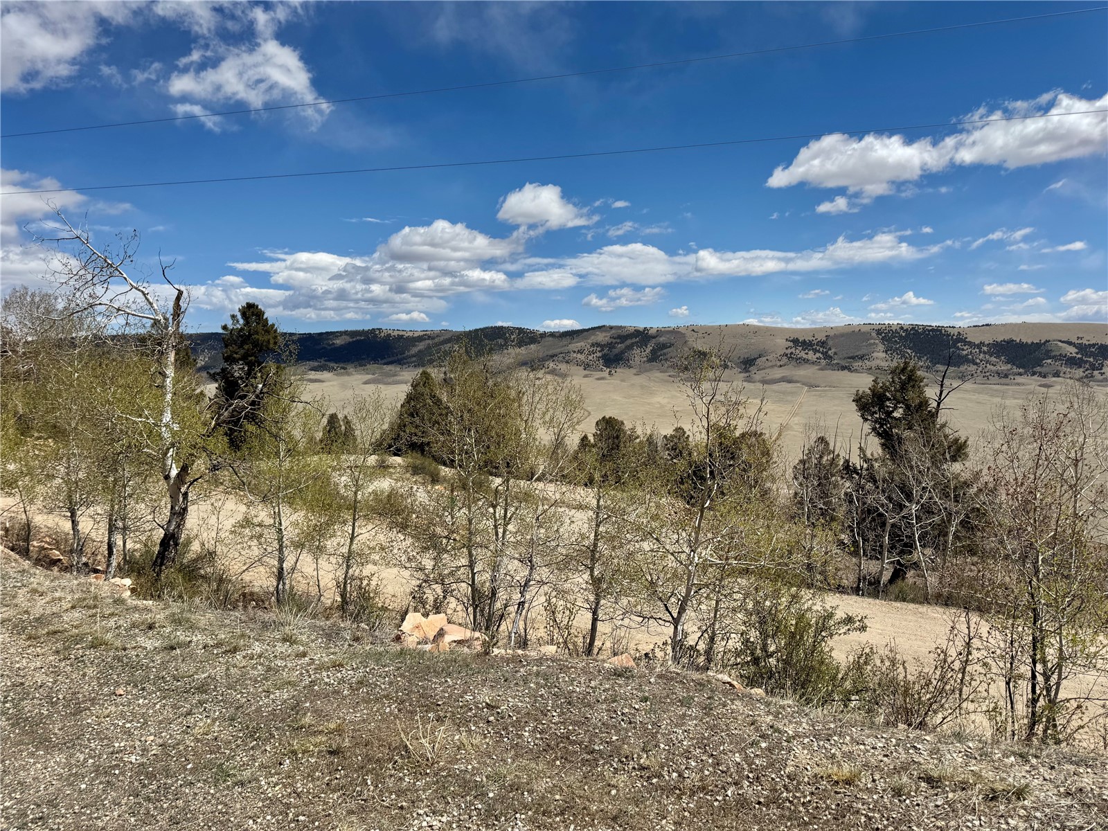 5013 Middle Fork Vista Fairplay CO 80440