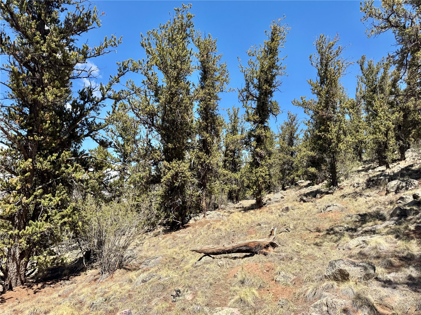 5013 Middle Fork Vista Fairplay CO 80440