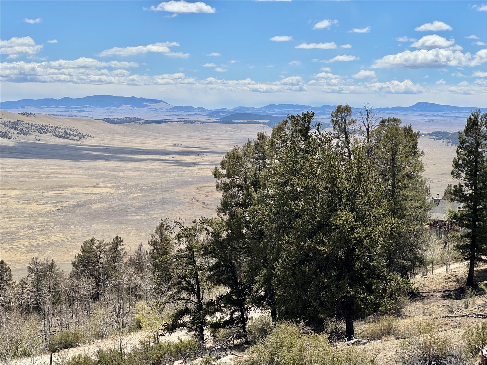 5013 Middle Fork Vista Fairplay CO 80440