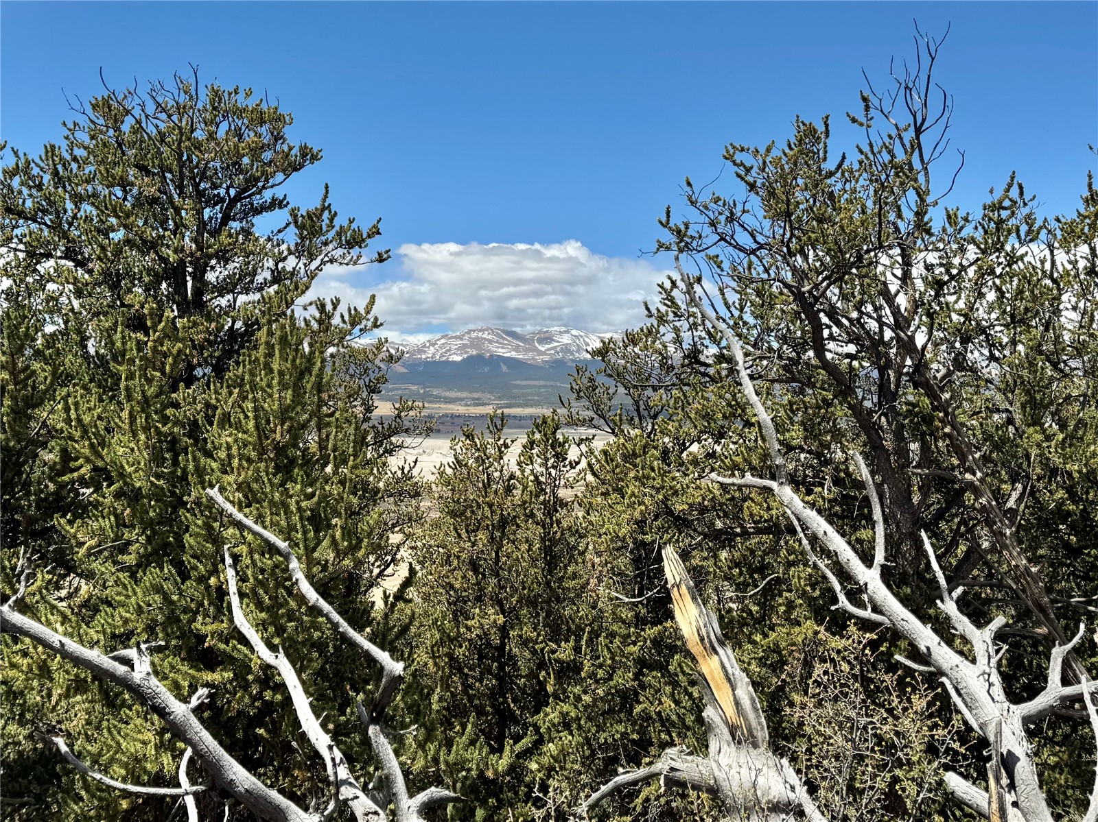 5013 Middle Fork Vista Fairplay CO 80440
