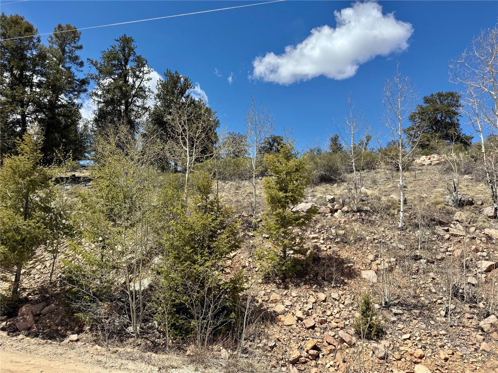 5013 Middle Fork Vista Fairplay CO 80440