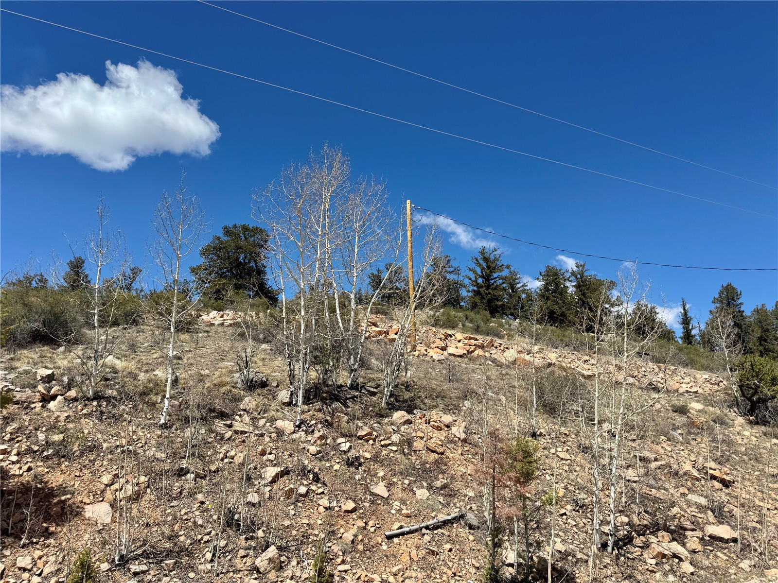 5013 Middle Fork Vista Fairplay CO 80440
