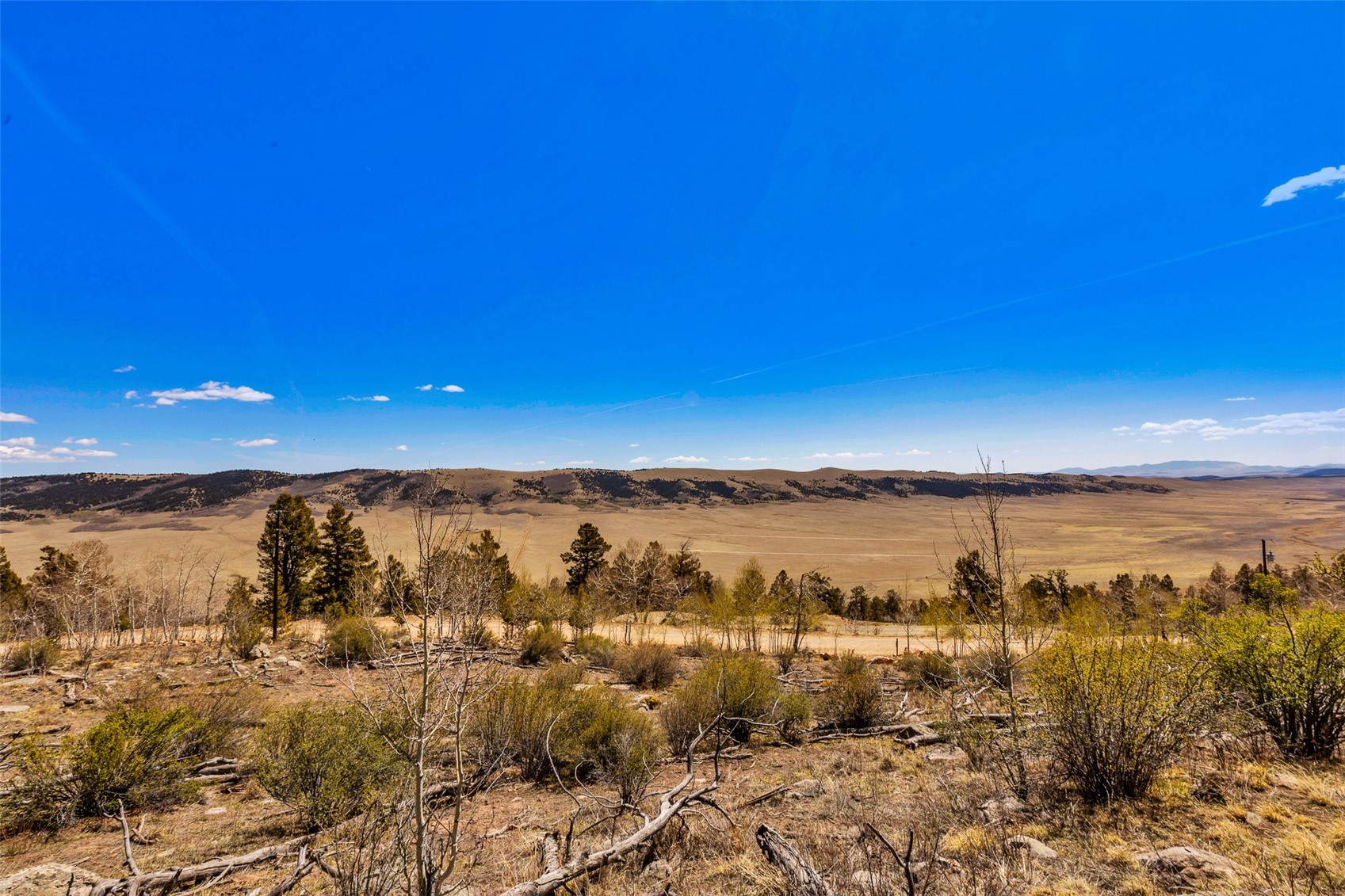 5013 Middle Fork Vista Fairplay CO 80440