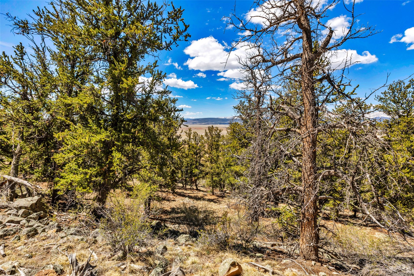 5013 Middle Fork Vista Fairplay CO 80440