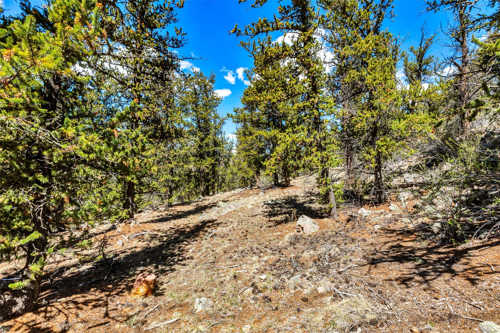 5013 Middle Fork Vista Fairplay CO 80440