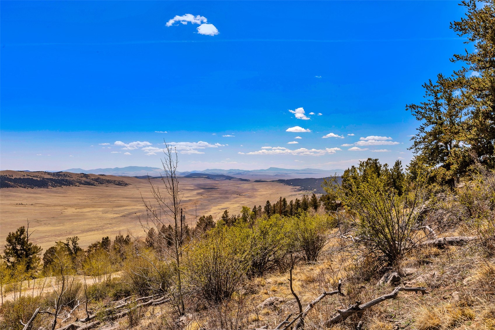 5013 Middle Fork Vista Fairplay CO 80440