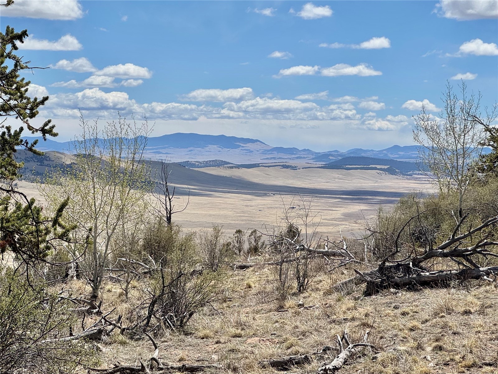 5013 Middle Fork Vista Fairplay CO 80440