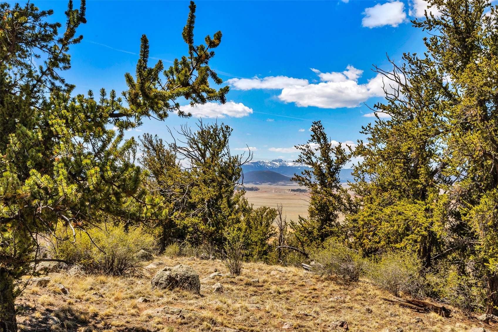 5013 Middle Fork Vista Fairplay CO 80440