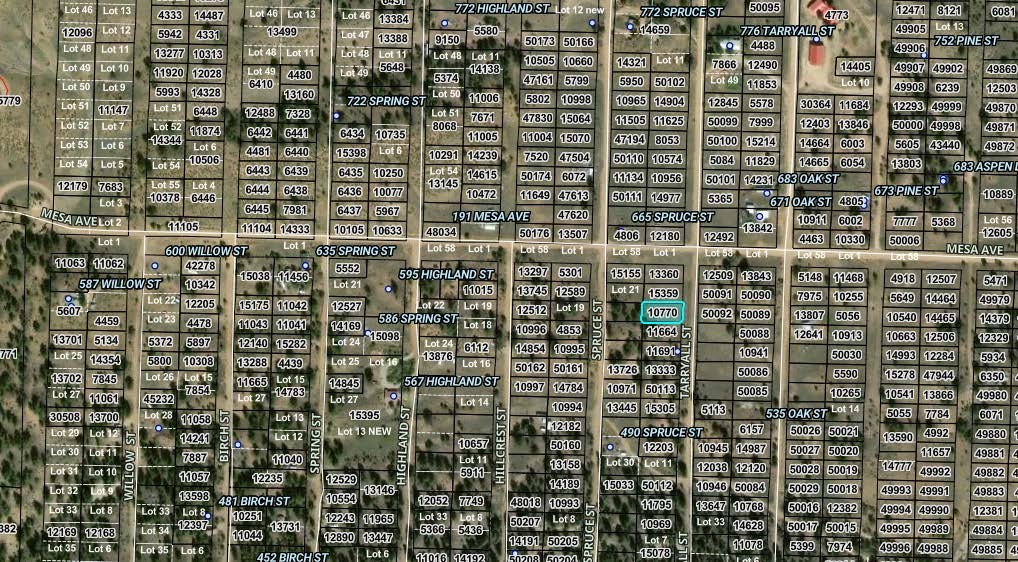000 Tarryall Street Hartsel CO 80449