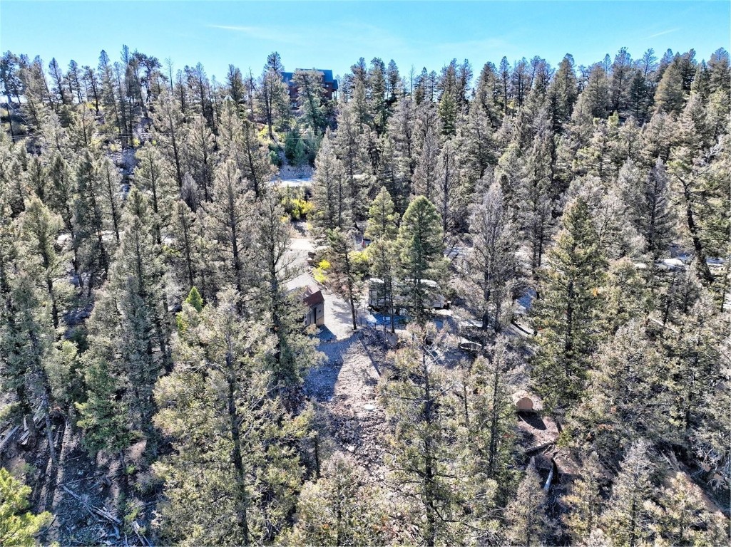 40 Trout Creek Lane Fairplay CO 80440