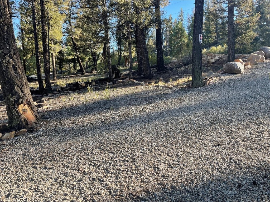 40 Trout Creek Lane Fairplay CO 80440