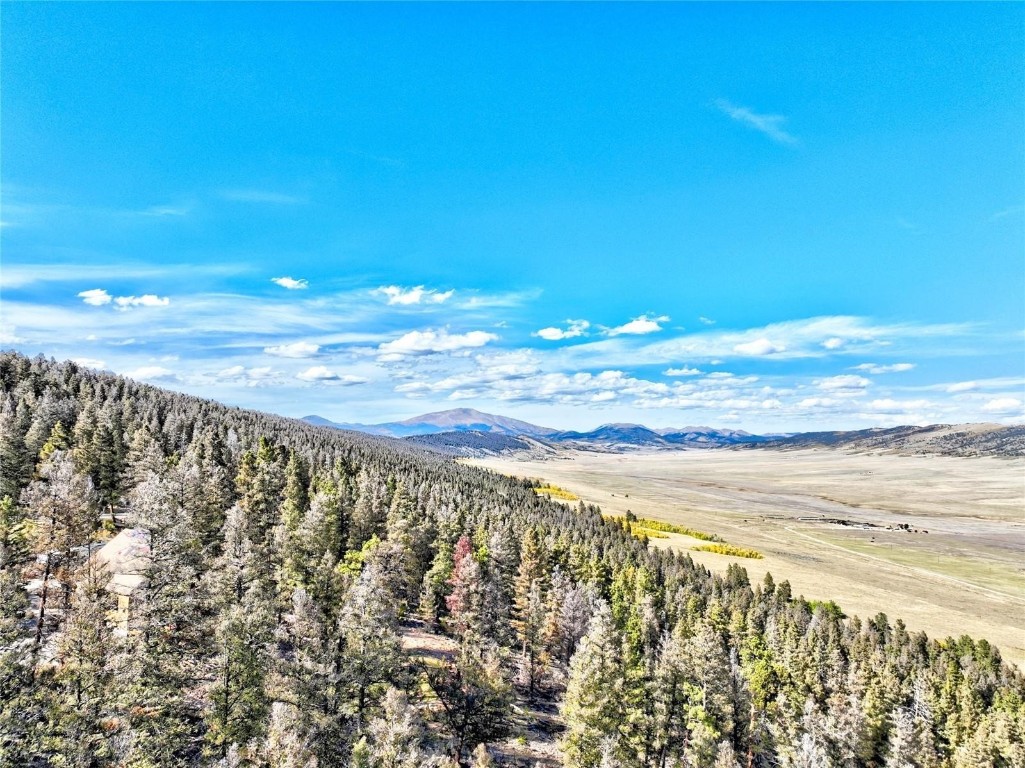 40 Trout Creek Lane Fairplay CO 80440