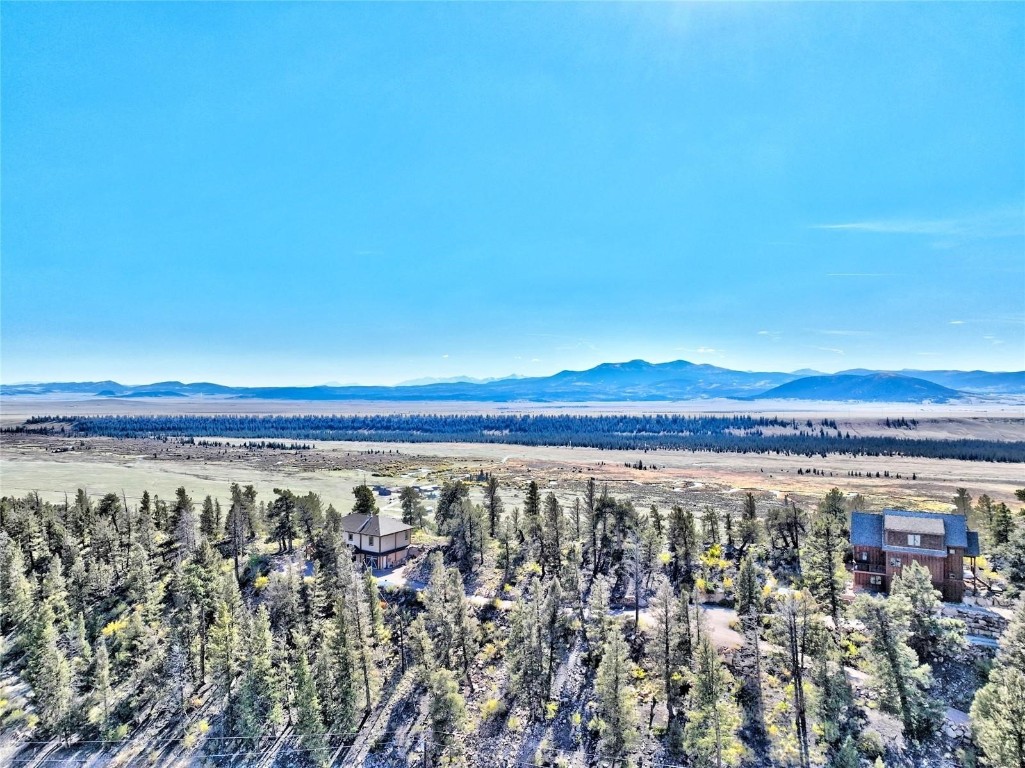 40 Trout Creek Lane Fairplay CO 80440