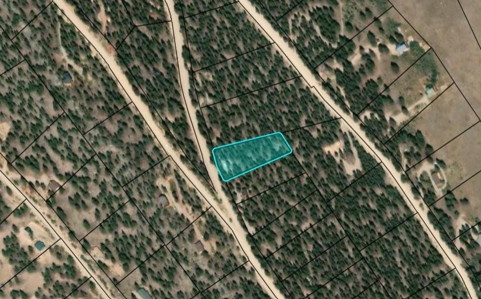 40 Trout Creek Lane Fairplay CO 80440