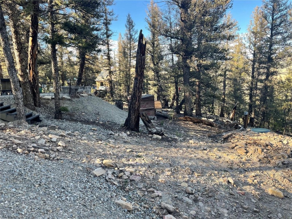 40 Trout Creek Lane Fairplay CO 80440