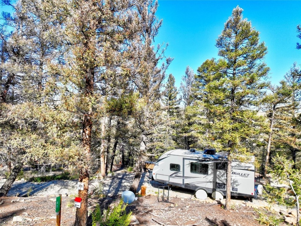 40 Trout Creek Lane Fairplay CO 80440
