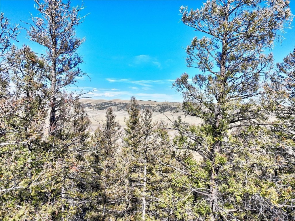 40 Trout Creek Lane Fairplay CO 80440