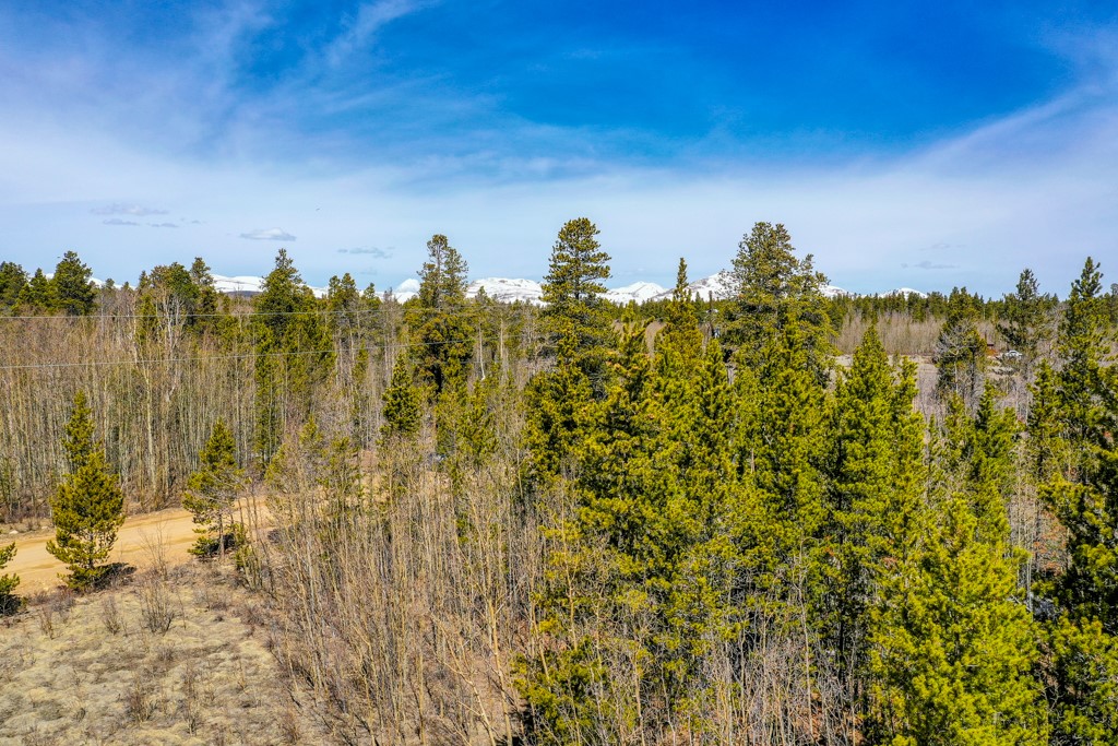 414 Wheat Way Fairplay CO 80440
