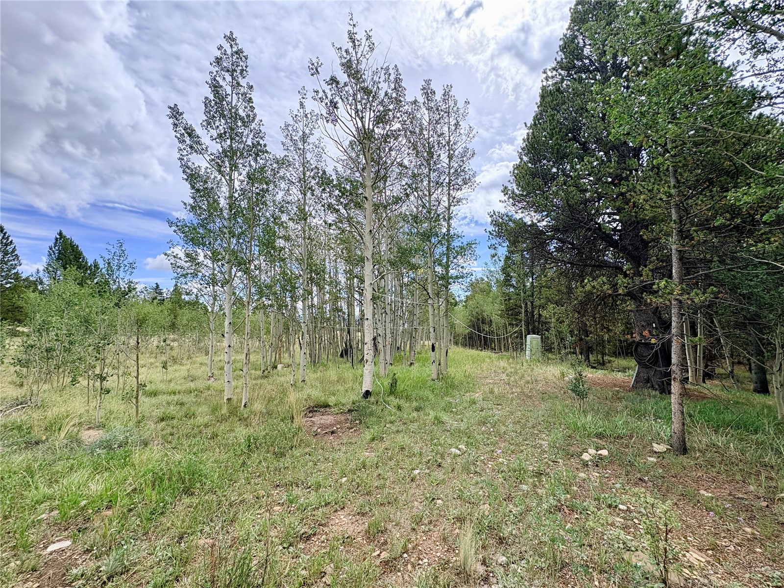 720 Bluestem Way Fairplay CO 80440
