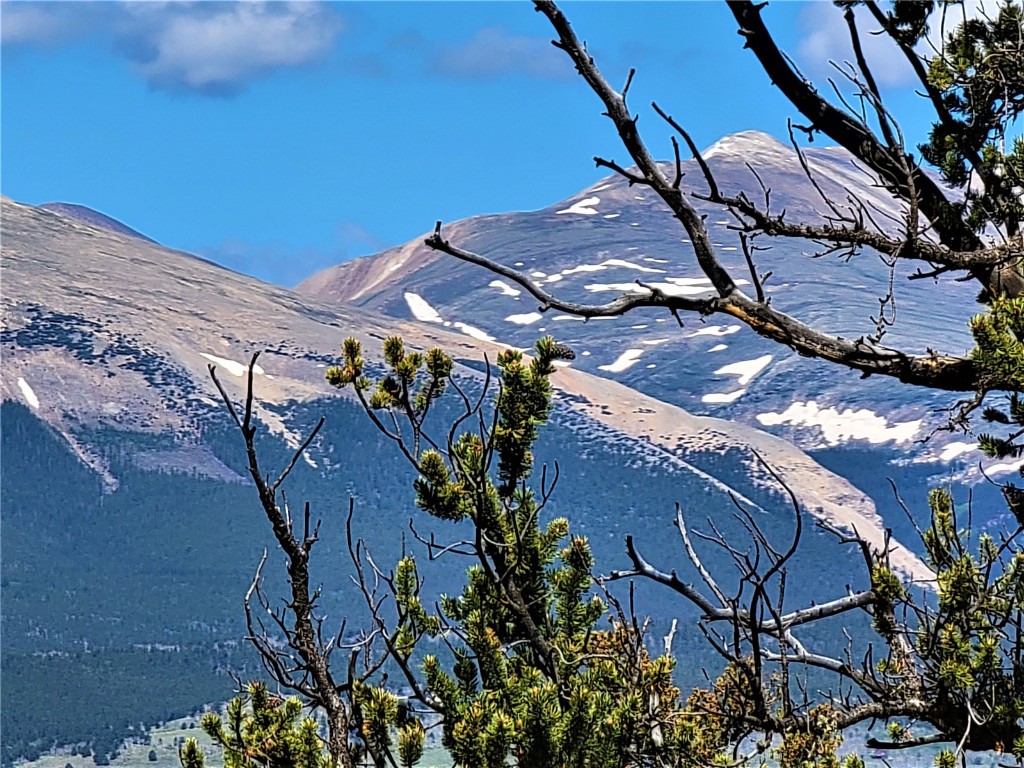 2041 Middle Fork Vista Fairplay CO 80440