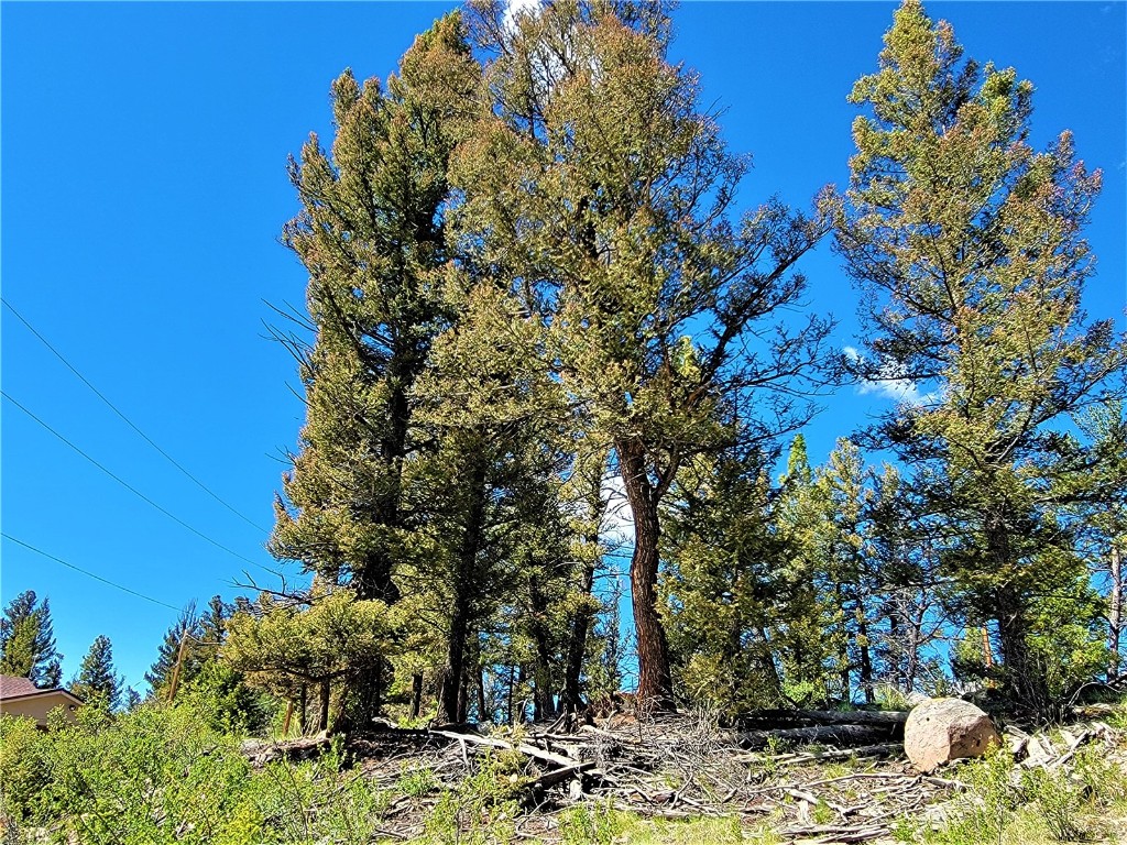 2041 Middle Fork Vista Fairplay CO 80440