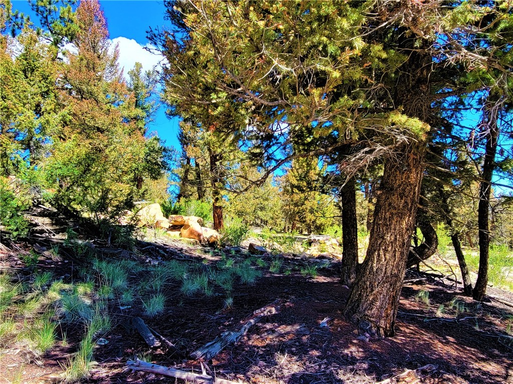 2041 Middle Fork Vista Fairplay CO 80440