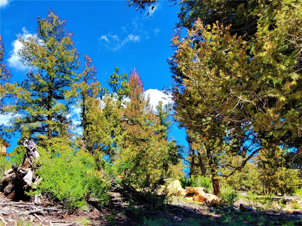2041 Middle Fork Vista Fairplay CO 80440