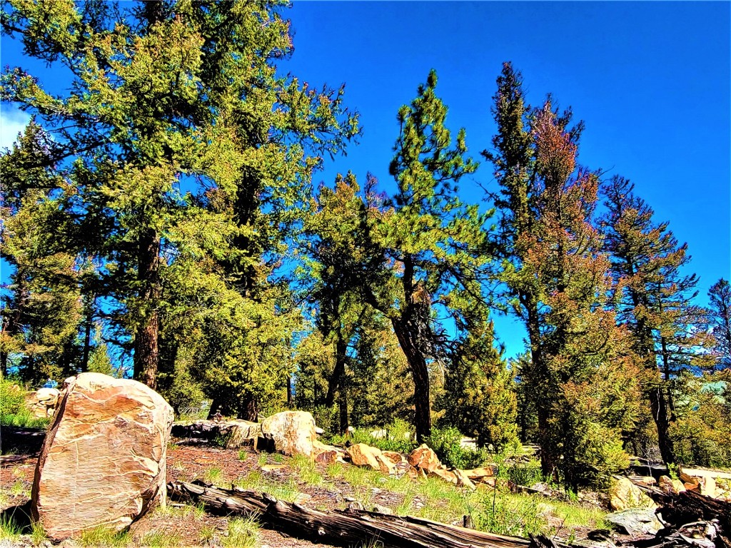 2041 Middle Fork Vista Fairplay CO 80440