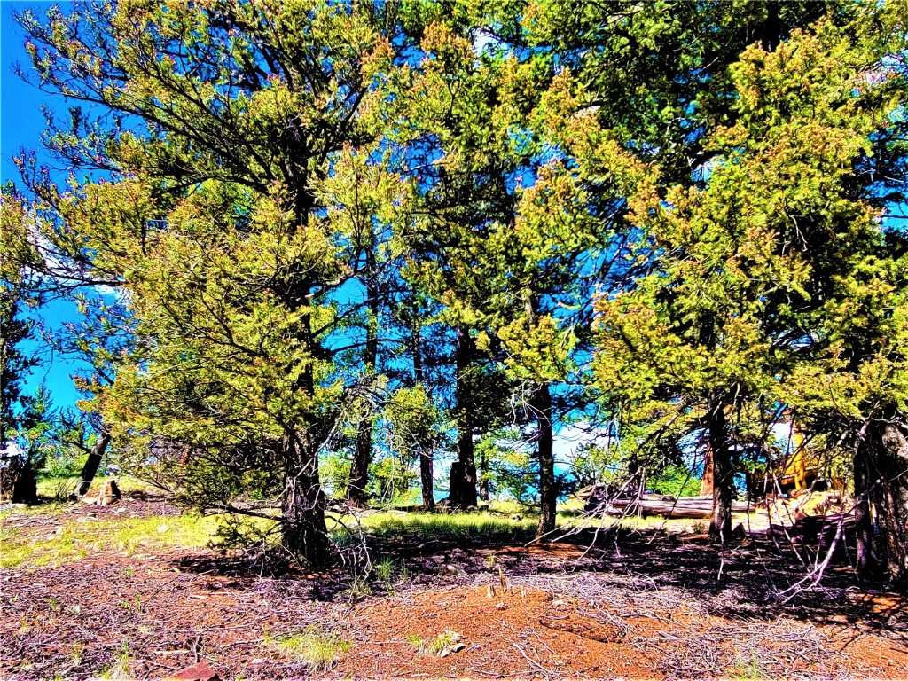 2041 Middle Fork Vista Fairplay CO 80440