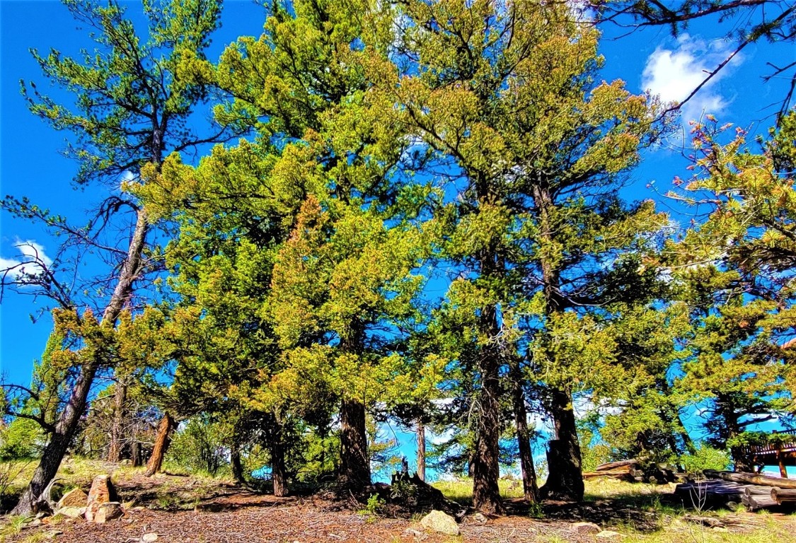 2041 Middle Fork Vista Fairplay CO 80440