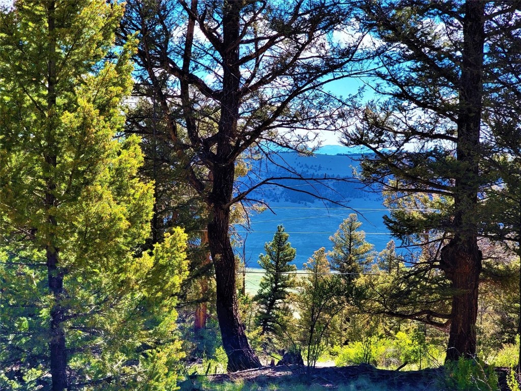 2041 Middle Fork Vista Fairplay CO 80440