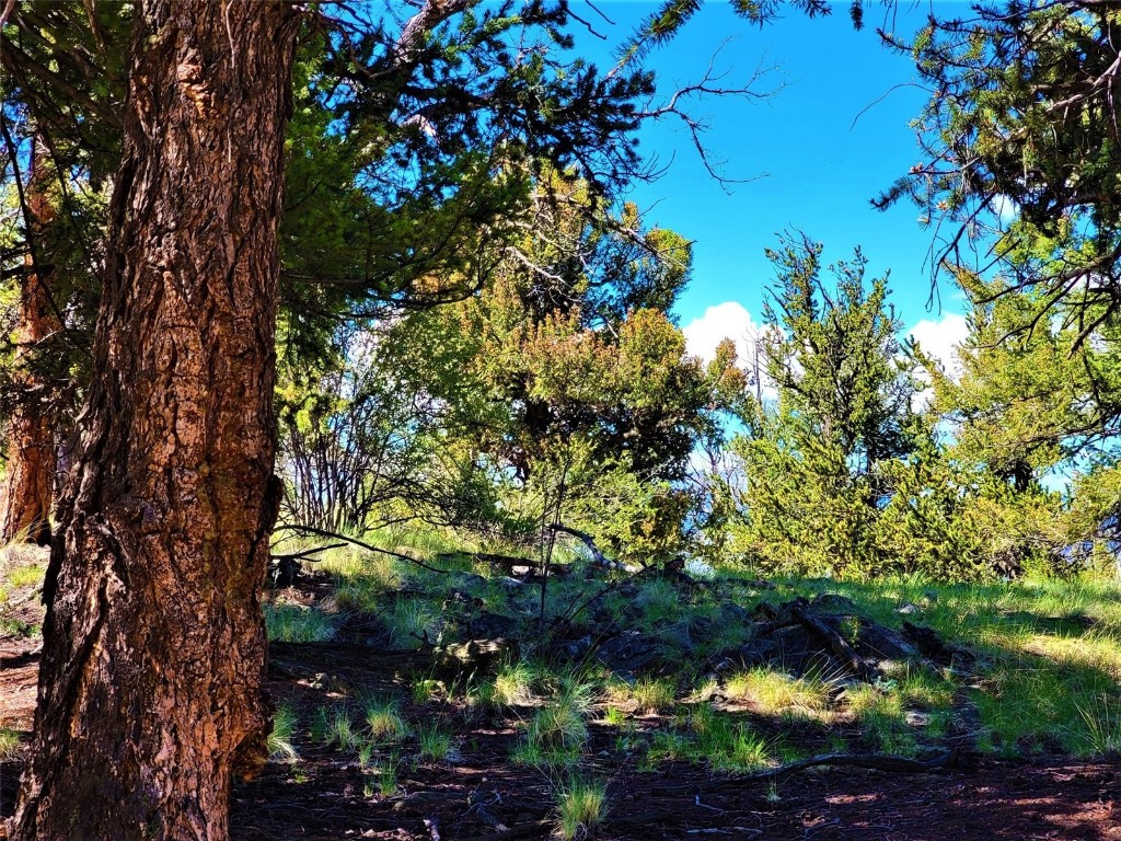 2041 Middle Fork Vista Fairplay CO 80440
