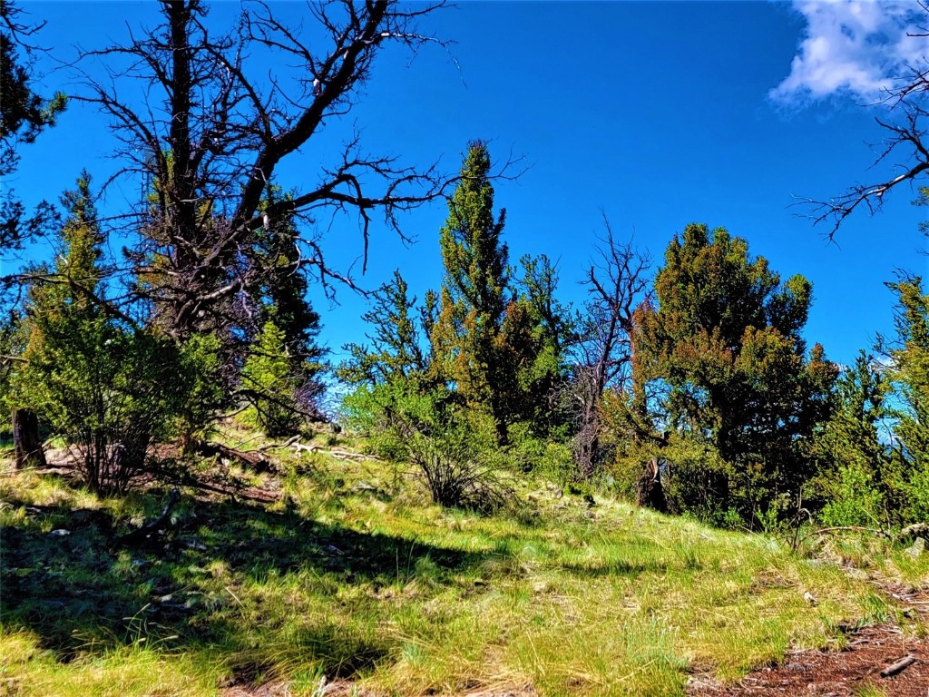 2041 Middle Fork Vista Fairplay CO 80440