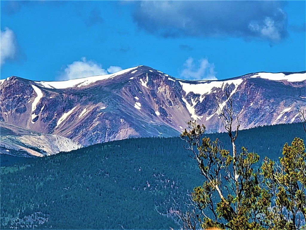 2041 Middle Fork Vista Fairplay CO 80440