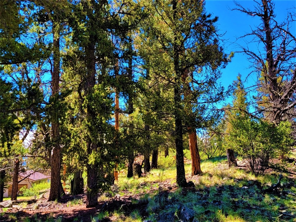2041 Middle Fork Vista Fairplay CO 80440