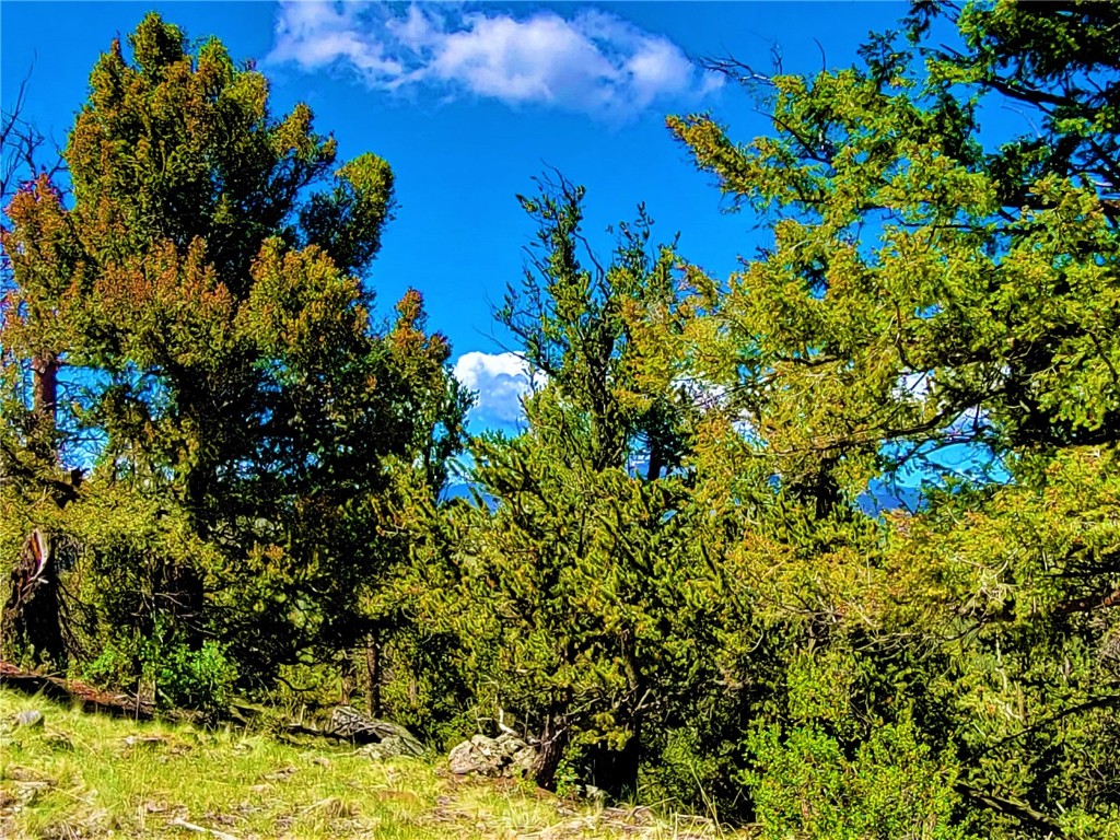 2041 Middle Fork Vista Fairplay CO 80440