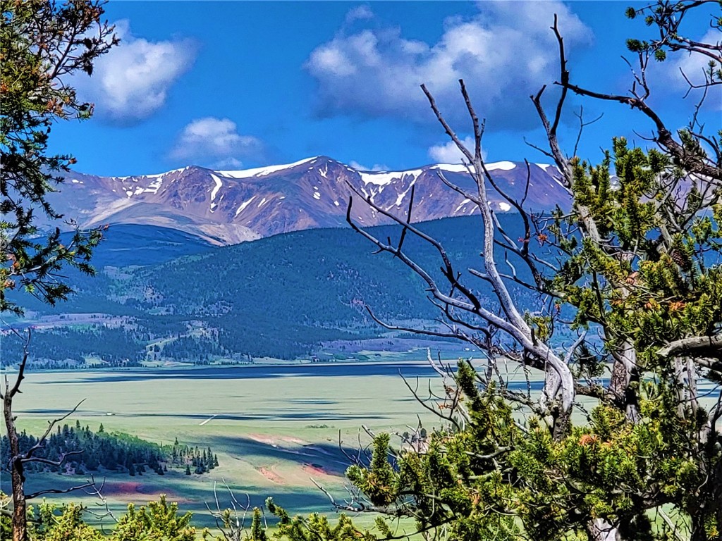 2041 Middle Fork Vista Fairplay CO 80440