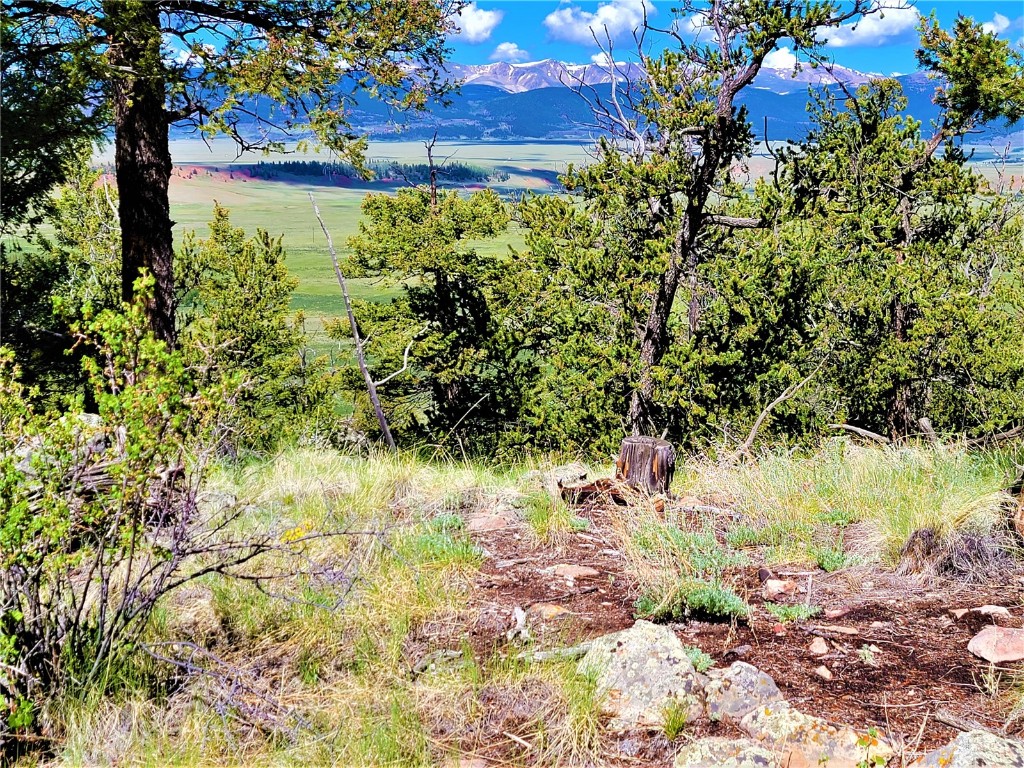 2041 Middle Fork Vista Fairplay CO 80440