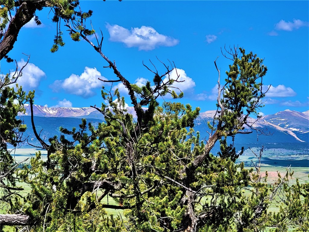 2041 Middle Fork Vista Fairplay CO 80440