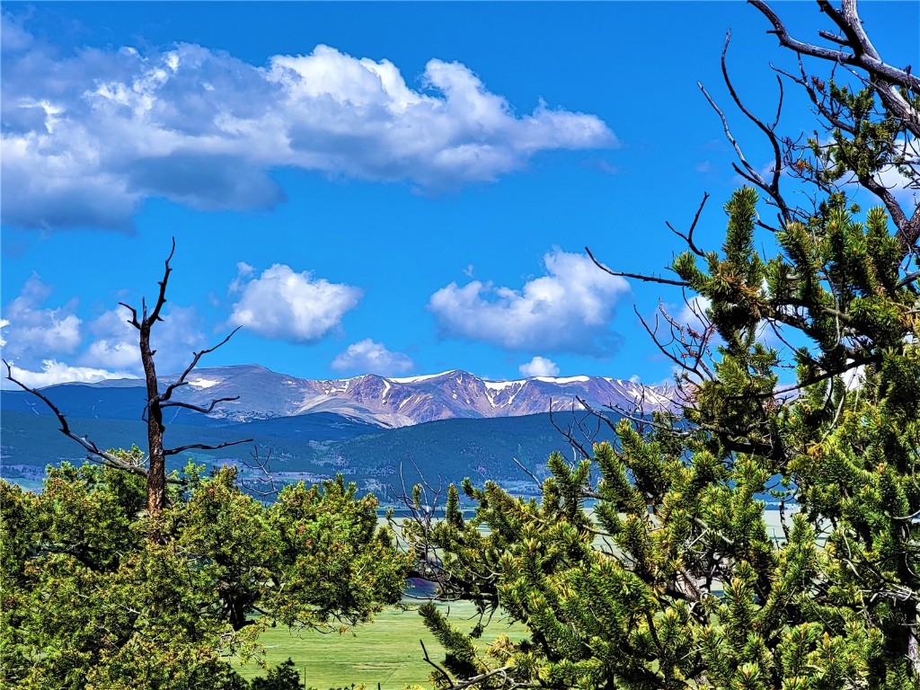 2041 Middle Fork Vista Fairplay CO 80440
